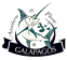 Aventura y Pesca Galápagos