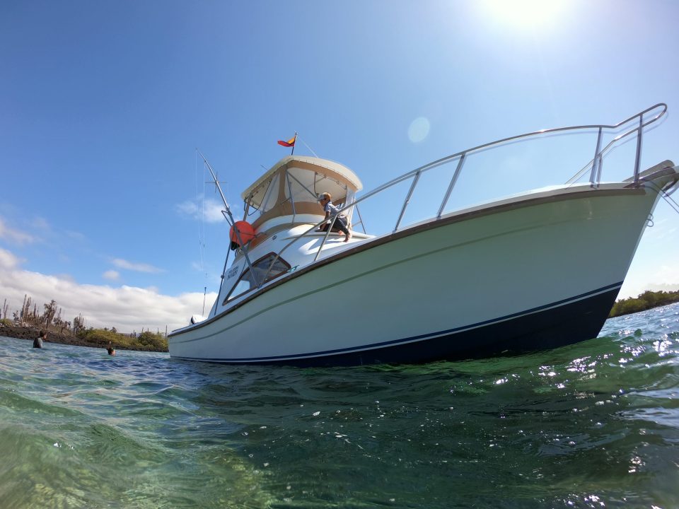 DCIM100GOPROGOPR0293.JPG